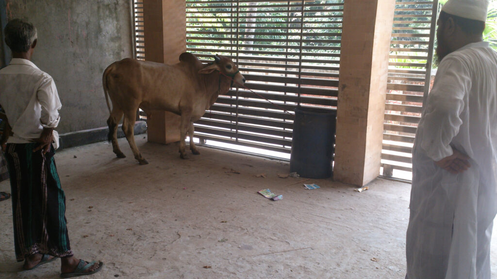 How Your Qurbani Donation Helps Communities