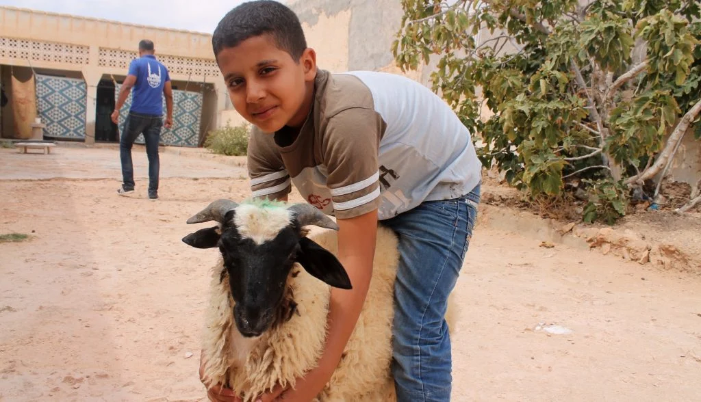 Learn All About Qurbani Donations