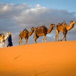 Fast While Traveling