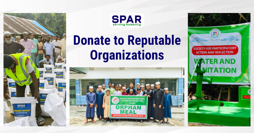 Donate to Reputable Organizations