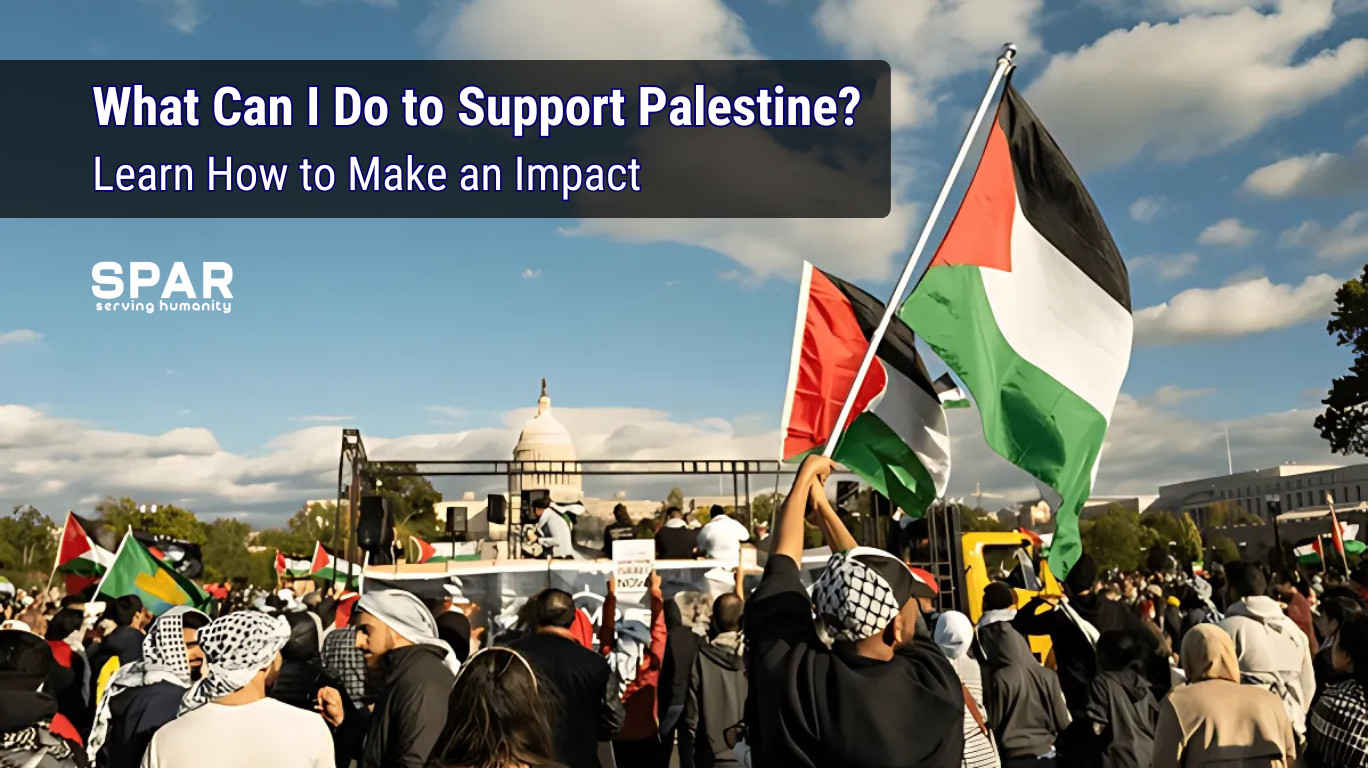 what can I do to support Palestine