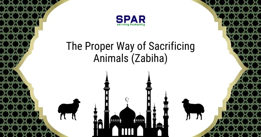 The Proper Way of Sacrificing Animals (Zabiha)