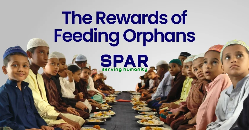 Rewards of Feeding Orphans